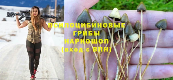 круглые Алексин