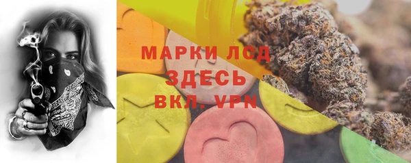 мяу мяу мука Алзамай
