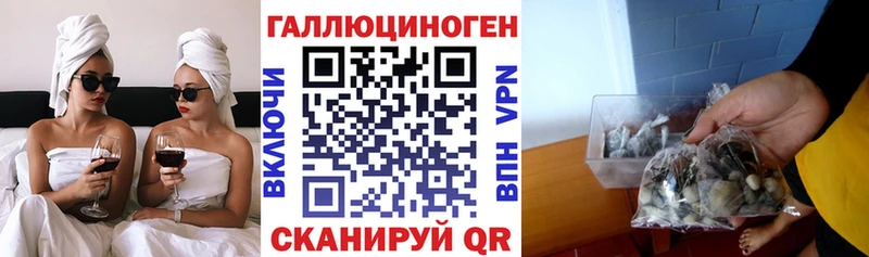 где найти   Котельники  Псилоцибиновые грибы GOLDEN TEACHER 